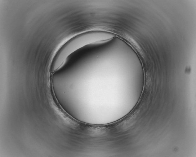 X0000091060939200709041156