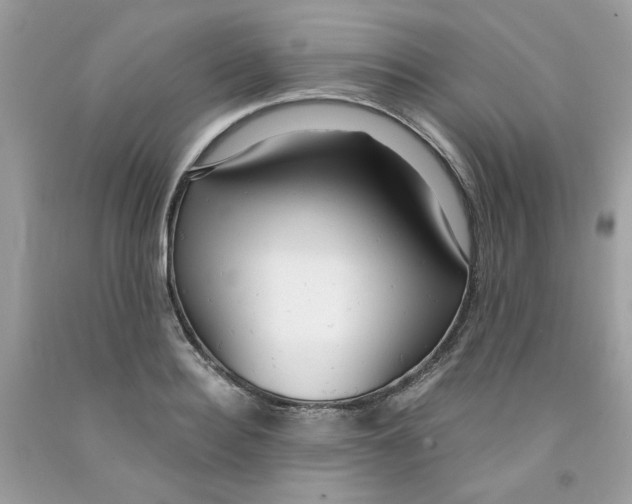 X0000091060940200709041156