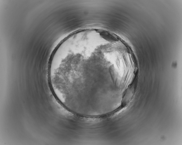 X0000091060941200709041156