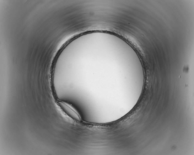 X0000091060942200709041156