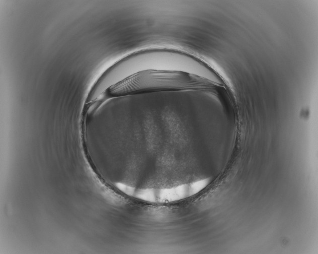 X0000091060943200709041156