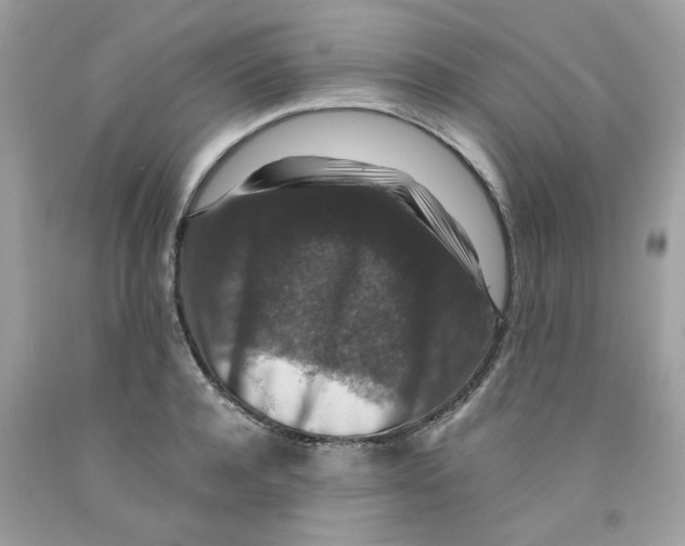 X0000091060944200709041156