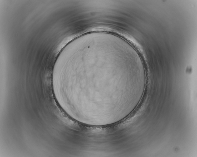 X0000091060945200709041156