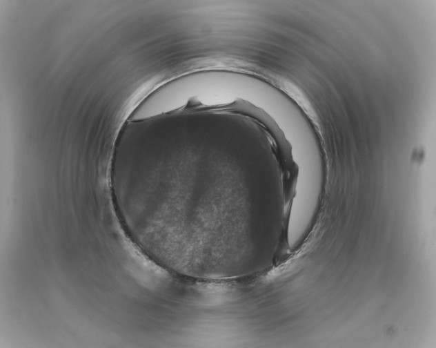 X0000091060946200709041156