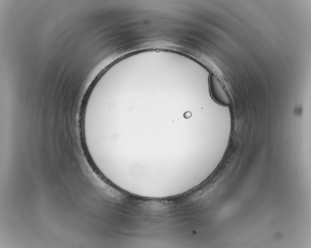 X0000091060947200709041156