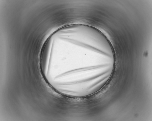 X0000091060949200709041156