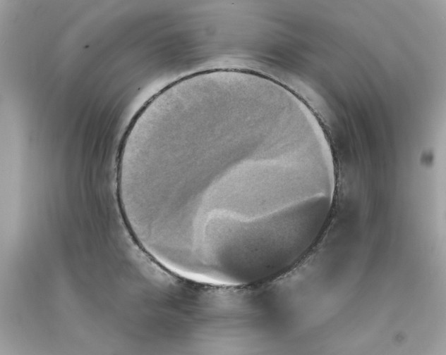 X0000091060950200709041156