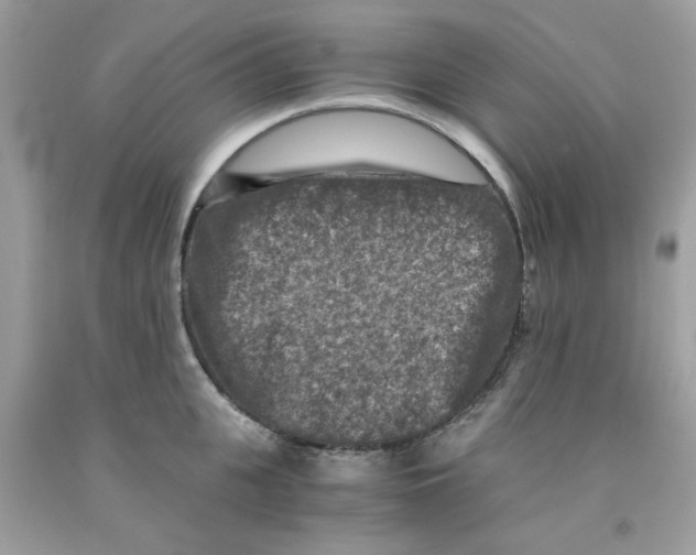 X0000091060951200709041156