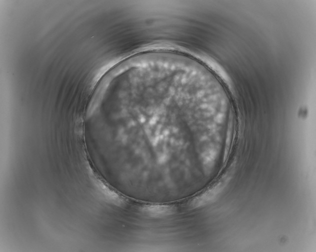 X0000091060953200709041156