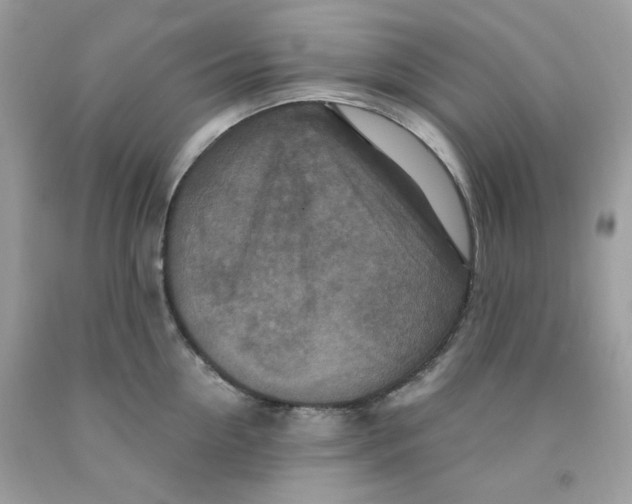 X0000091060954200709041156