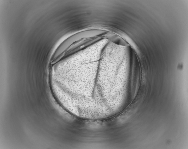 X0000091060955200709041156