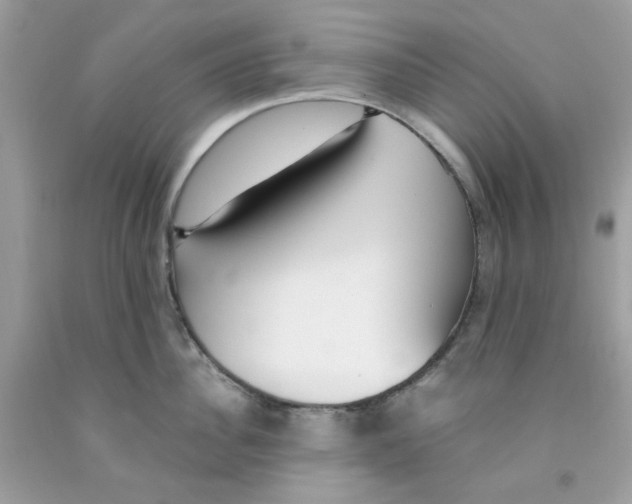 X0000091060956200709041156