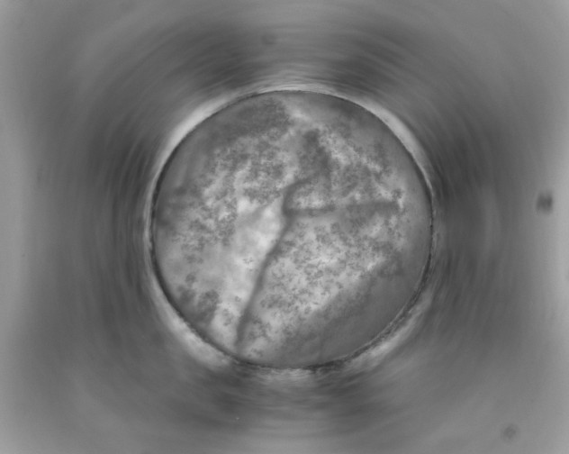 X0000091060957200709041156