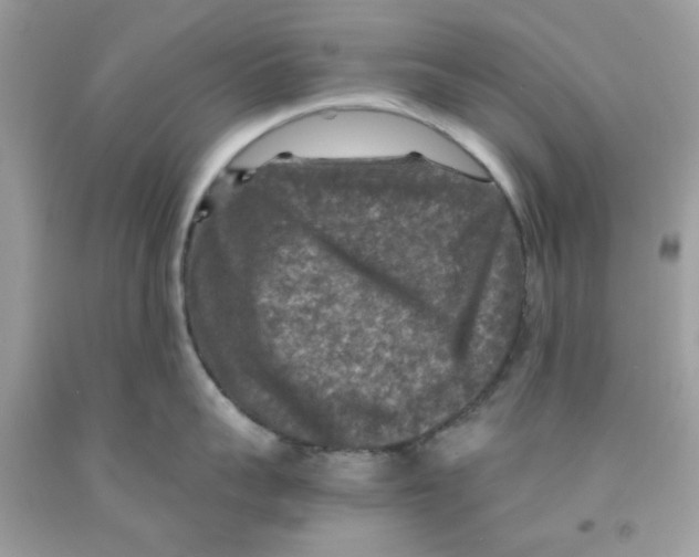 X0000091060959200709041156