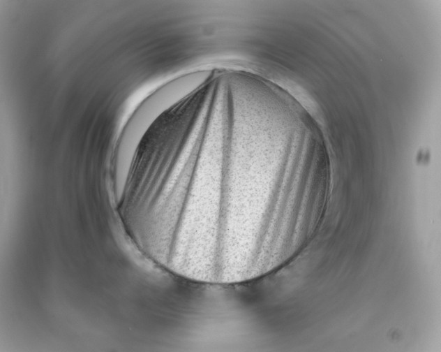 X0000091060960200709041156