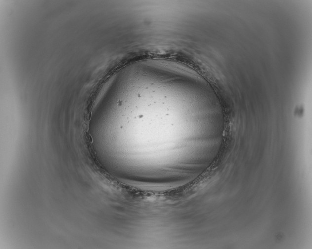 X0000091060961200709041155