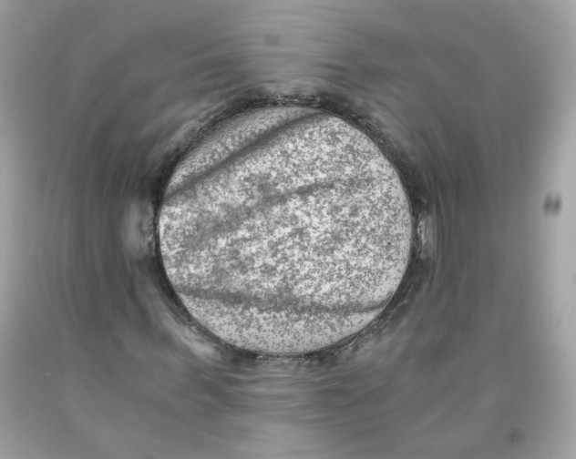 X0000091060963200709041155