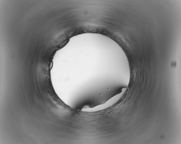 X0000091060964200709041155