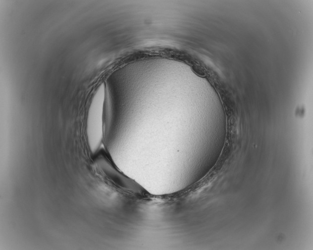 X0000091060965200709041155