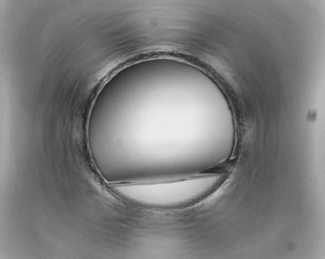 X0000091060969200709041155