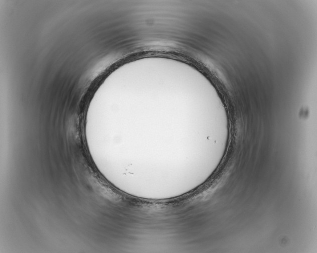 X0000091060970200709041155