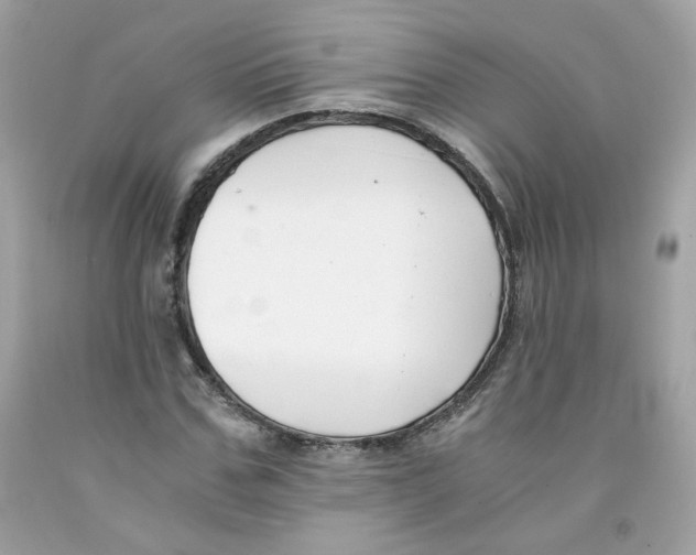 X0000091060971200709041155