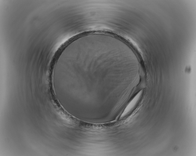 X0000091060975200709041155