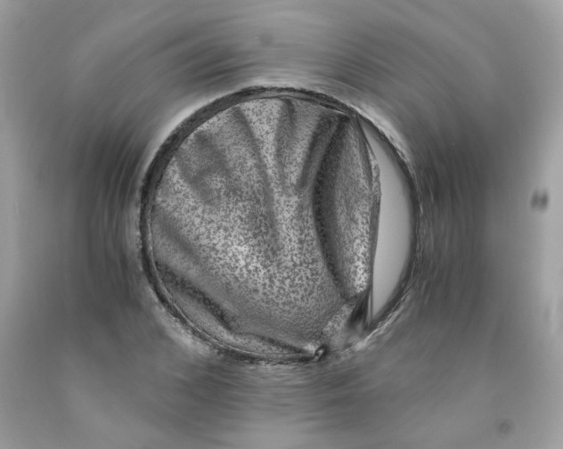 X0000091060976200709041155