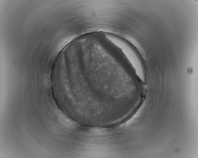 X0000091060977200709041155