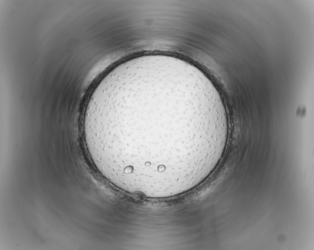 X0000091060978200709041155