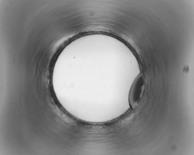 X0000091060979200709041155