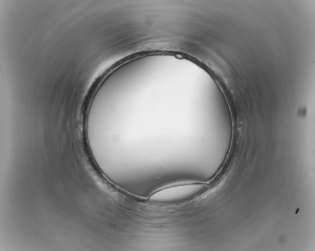 X0000091060981200709041155