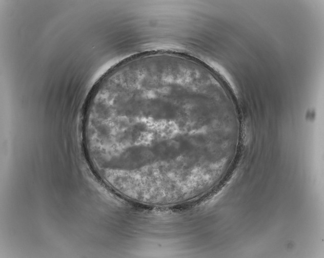 X0000091060983200709041155