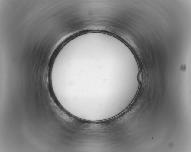 X0000091060984200709041155