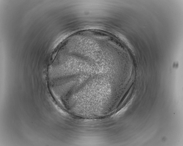 X0000091060985200709041155