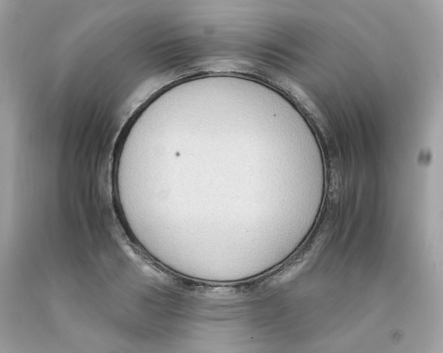 X0000091060986200709041155