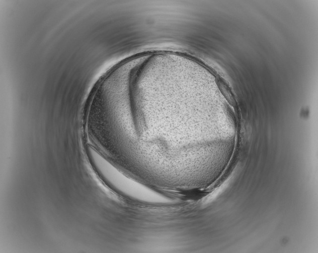 X0000091060989200709041155