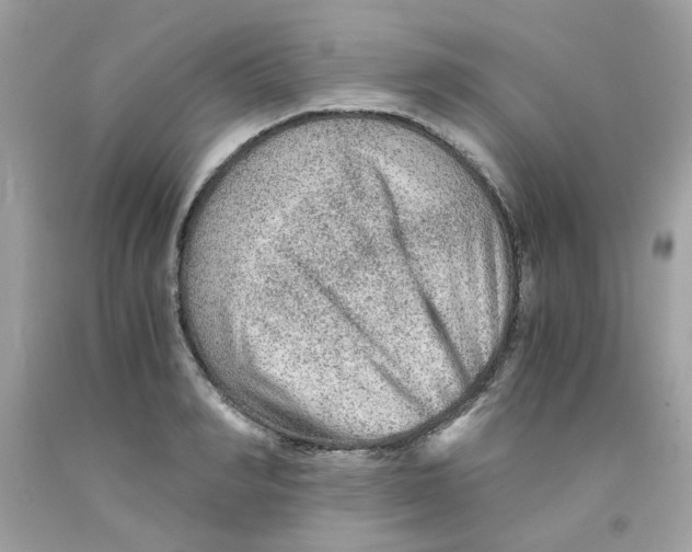 X0000091060990200709041155