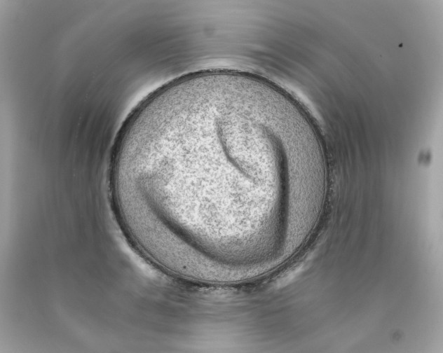 X0000091060991200709041155