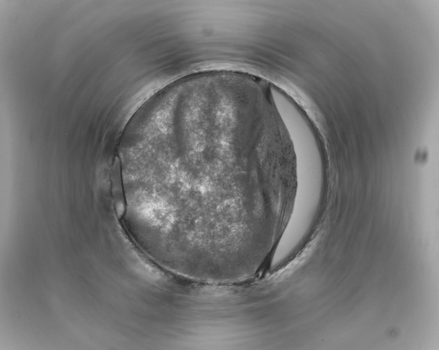 X0000091060993200709041155