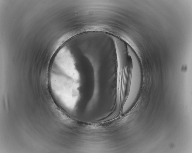 X0000091060994200709041155