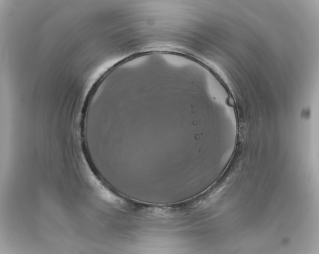 X0000091060995200709041155