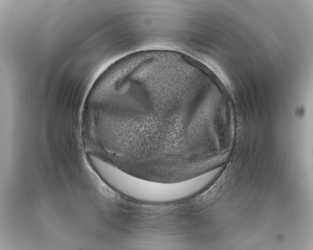 X0000091060996200709041155