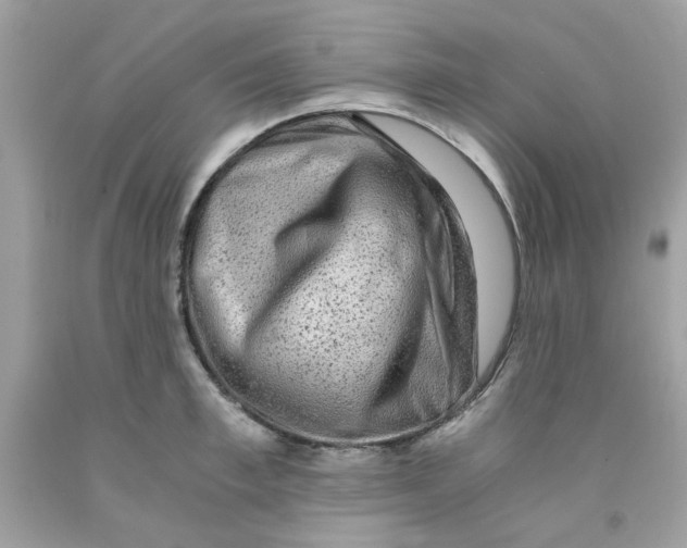 X0000091060997200709041155