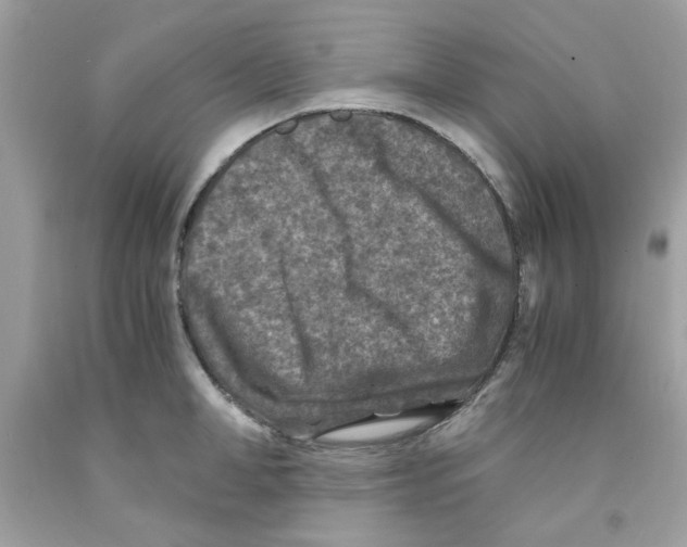 X0000091060998200709041155