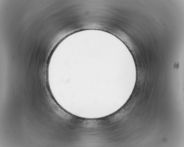 X0000091061000200709041155