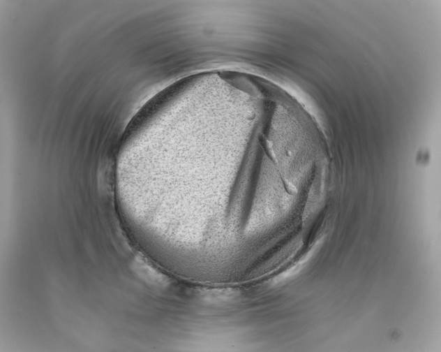 X0000091061001200709041155