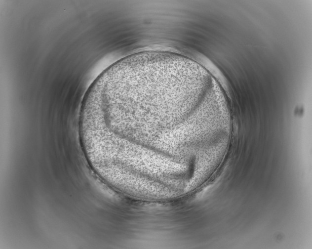 X0000091061002200709041155