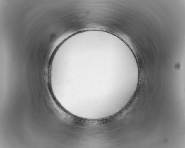 X0000091061003200709041155