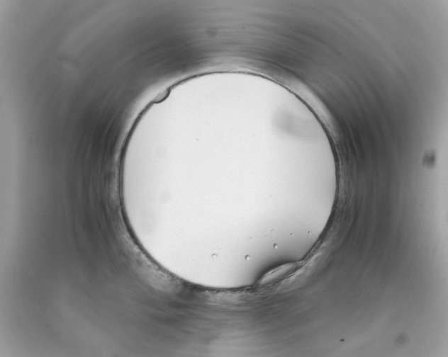 X0000091061004200709041155